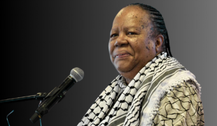 square image representing the minister-who-led-south-africa-to-sue-israel-for-genocide-to-visit-milwaukee element.